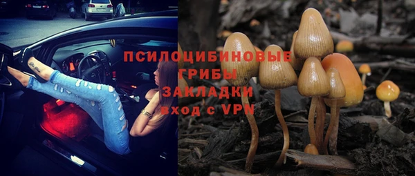 2c-b Алзамай